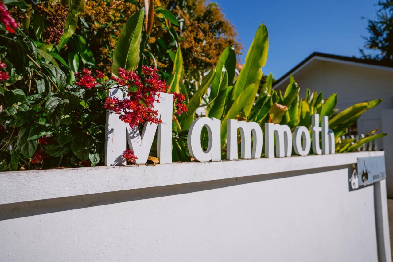 Mammoth Boutique Hotel Chiang Mai Buitenkant foto